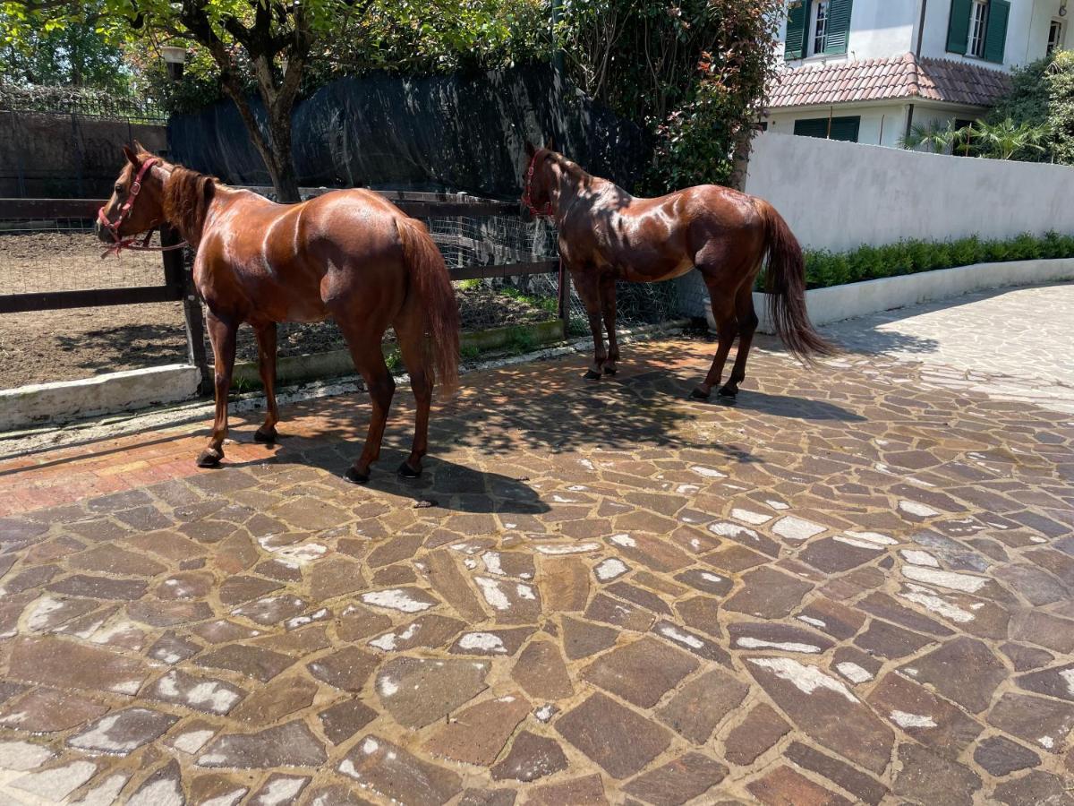 Villa Morena 카바드티레니 외부 사진